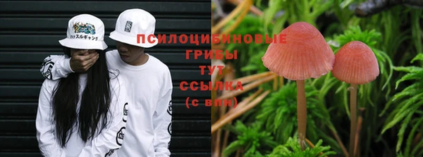 дживик Алексин
