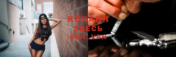 индика Арсеньев