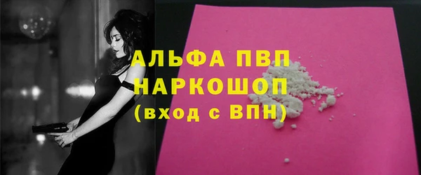 индика Арсеньев