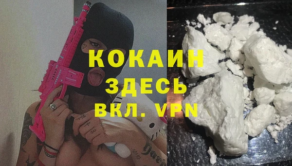 дживик Алексин