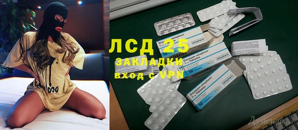 индика Арсеньев