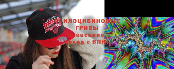 индика Арсеньев